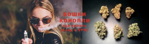 экстази Арсеньев